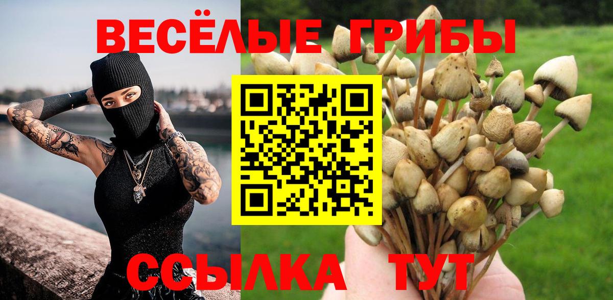 Новотроицк  Псилоцибиновые грибы GOLDEN TEACHER  Вход с VPN  Псилоцибиновые грибы MAGIC MUSHROOMS 