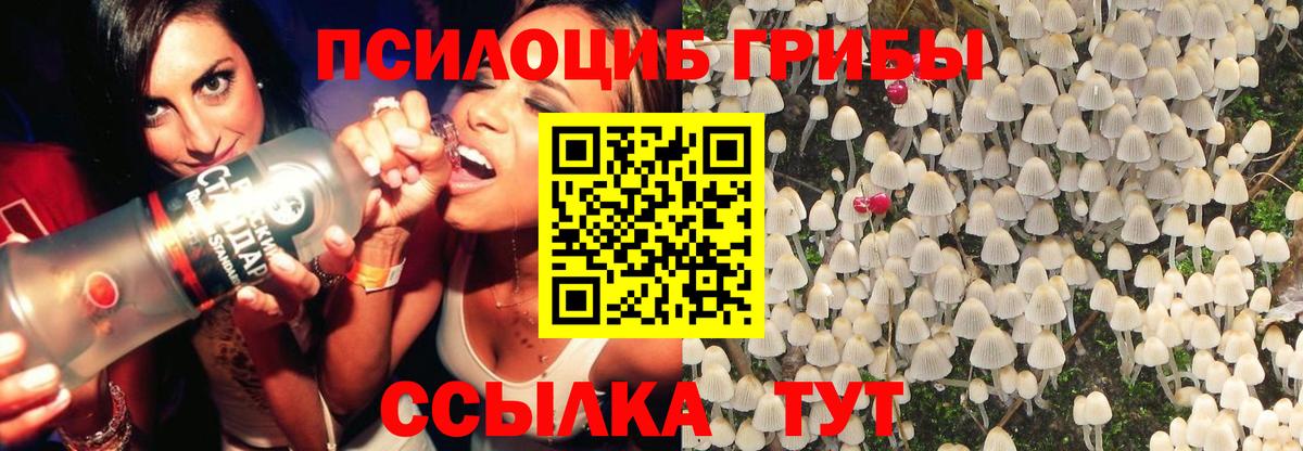 Меф Новотроицк